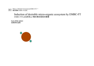 複合発酵法（EMBC-FT）による新しい放射性廃棄物処理技術について