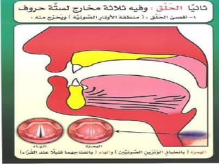 مخارج الحروف العربية