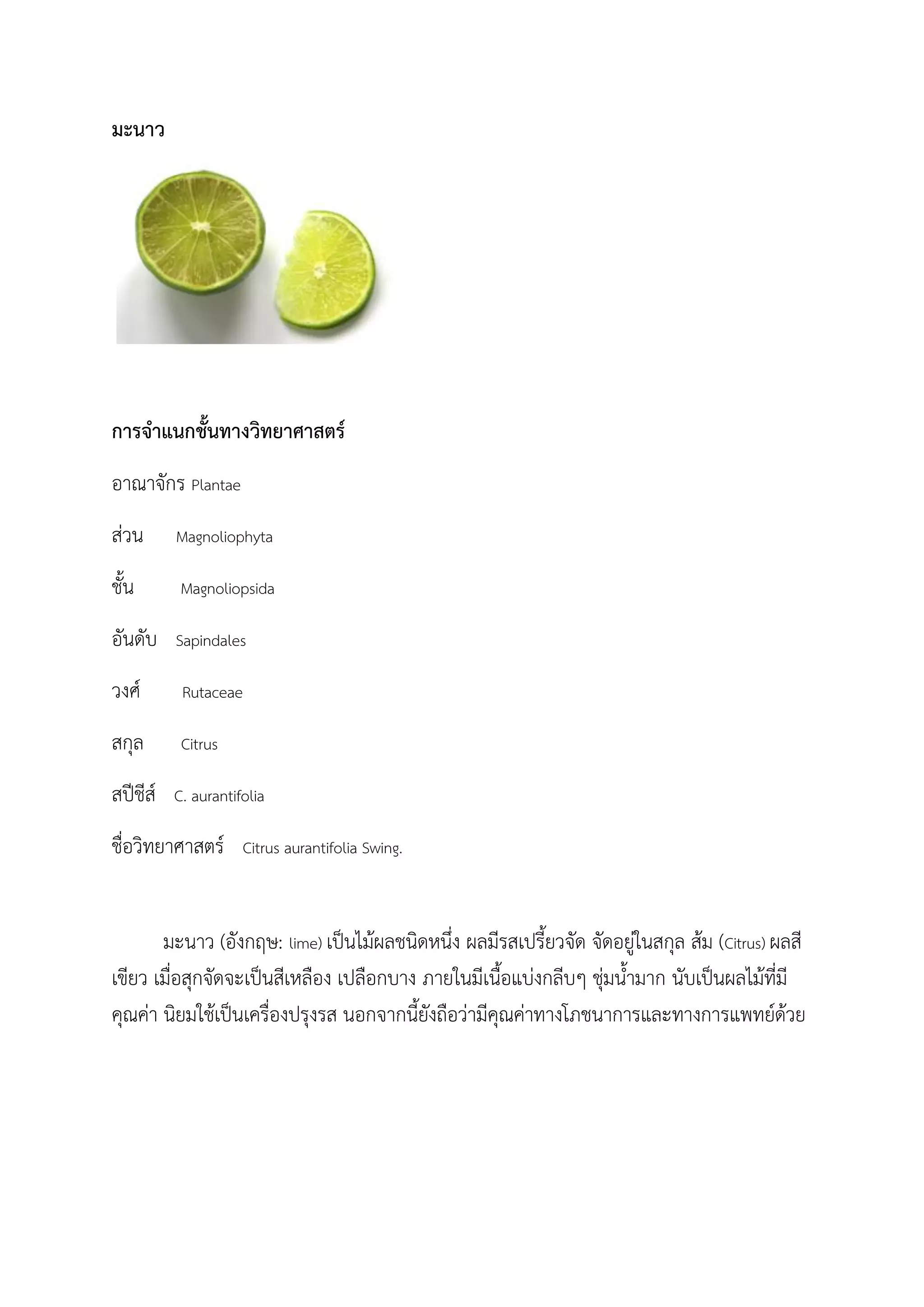 มะนาว
การจ้าแนกชันทางวิทยาศาสตร์
อาณาจักร Plantae
ส่วน Magnoliophyta
ชัน Magnoliopsida
อันดับ Sapindales
วงศ์ Rutaceae
สกุล Citrus
สปีชีส์ C. aurantifolia
ชื่อวิทยาศาสตร์ Citrus aurantifolia Swing.
มะนาว (อังกฤษ: lime) เป็นไม้ผลชนิดหนึ่ง ผลมีรสเปรียวจัด จัดอยู่ในสกุล ส้ม (Citrus) ผลสี
เขียว เมื่อสุกจัดจะเป็นสีเหลือง เปลือกบาง ภายในมีเนือแบ่งกลีบๆ ชุ่มน้ามาก นับเป็นผลไม้ที่มี
คุณค่า นิยมใช้เป็นเครื่องปรุงรส นอกจากนียังถือว่ามีคุณค่าทางโภชนาการและทางการแพทย์ด้วย
 