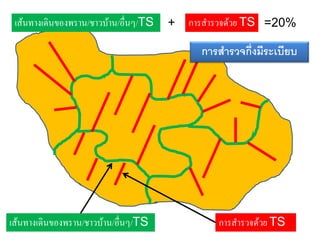 การสารวจด้วย TSเส้นทางเดินของพราน/ชาวบ้าน/อื่นๆ/TS
เส้นทางเดินของพราน/ชาวบ้าน/อื่นๆ/TS + การสารวจด้วย TS =20%
การสารวจกึงมีระเบียบ
 