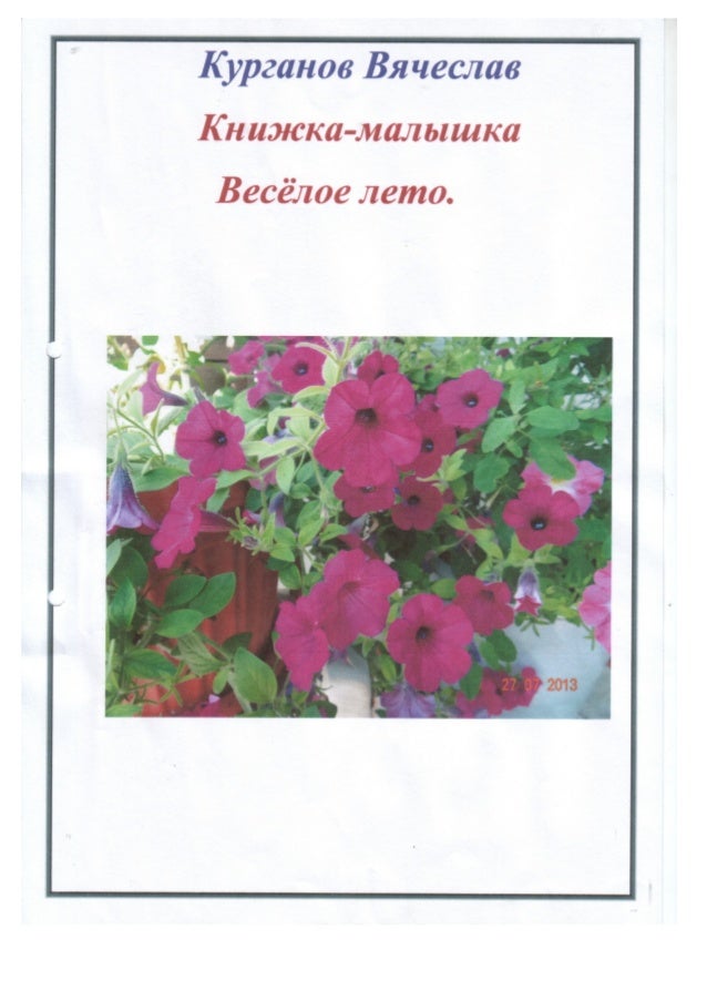 Книжка-малышка. "Весёлое лето"