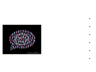 •
•
•
•
•
•