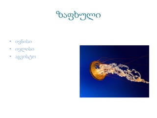 ზაფხული
• ივნისი
• ივლისი
• აგვისტო
 