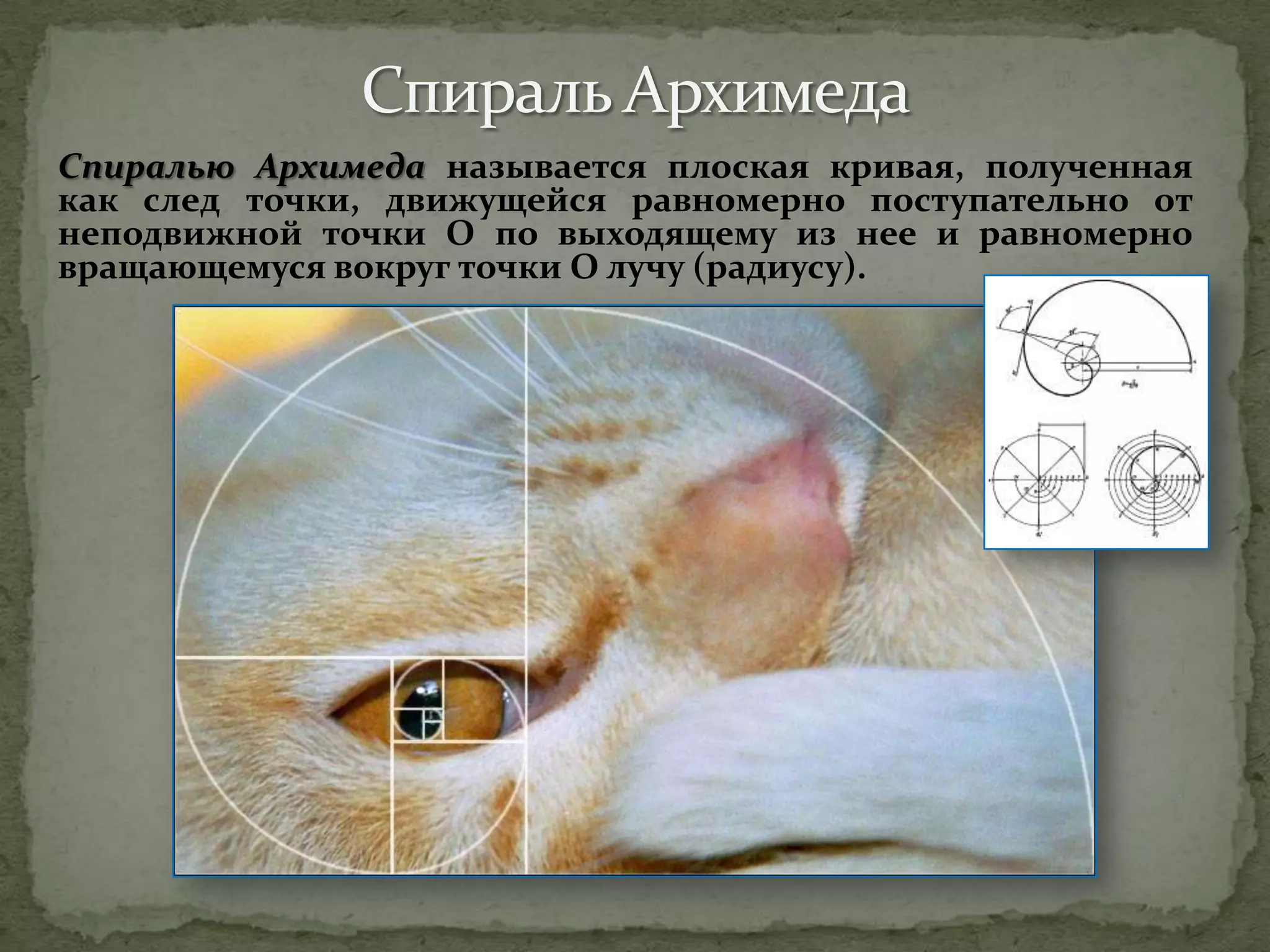 Спиралью Архимеда называется плоская кривая, полученная
как след точки, движущейся равномерно поступательно от
неподвижной точки О по выходящему из нее и равномерно
вращающемуся вокруг точки О лучу (радиусу).
 