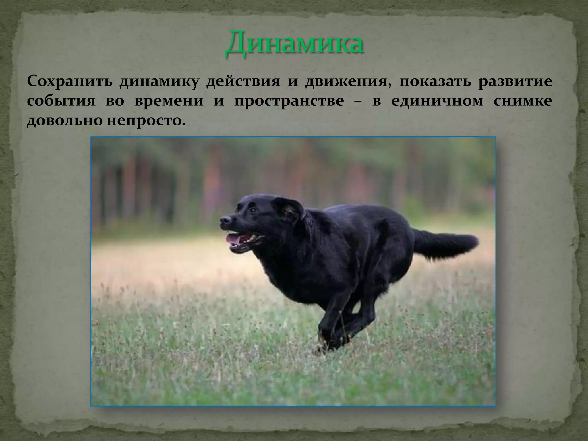 Сохранить динамику действия и движения, показать развитие
события во времени и пространстве – в единичном снимке
довольно непросто.
 