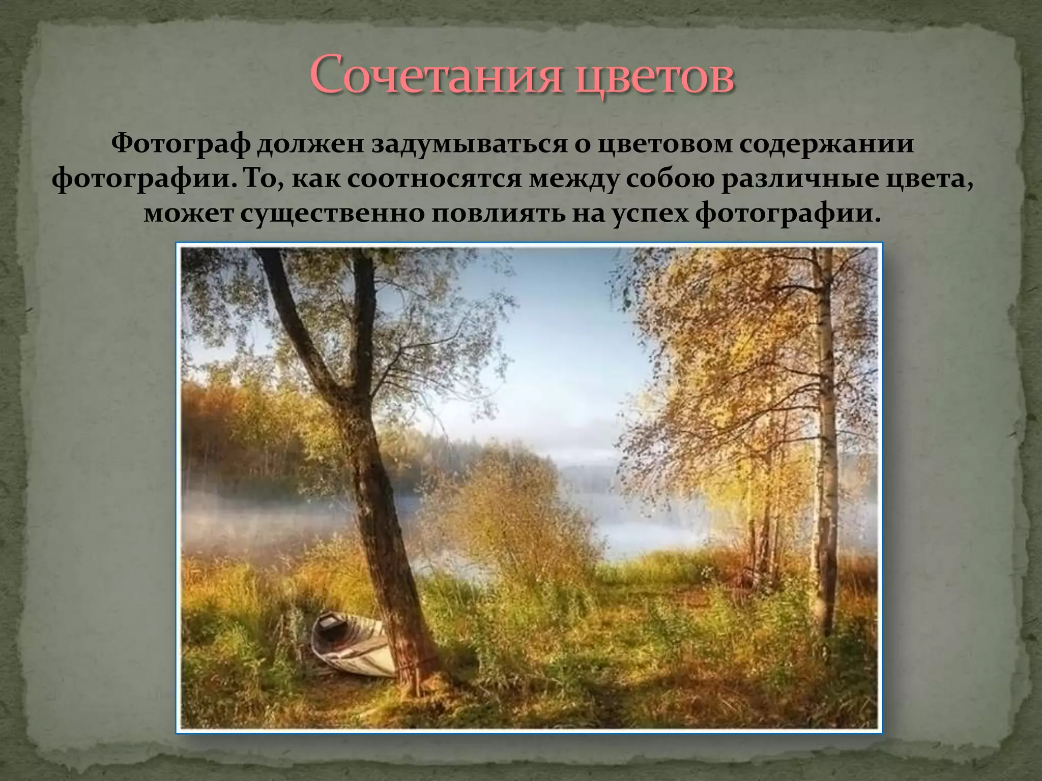 Фотограф должен задумываться о цветовом содержании
фотографии. То, как соотносятся между собою различные цвета,
может существенно повлиять на успех фотографии.
 