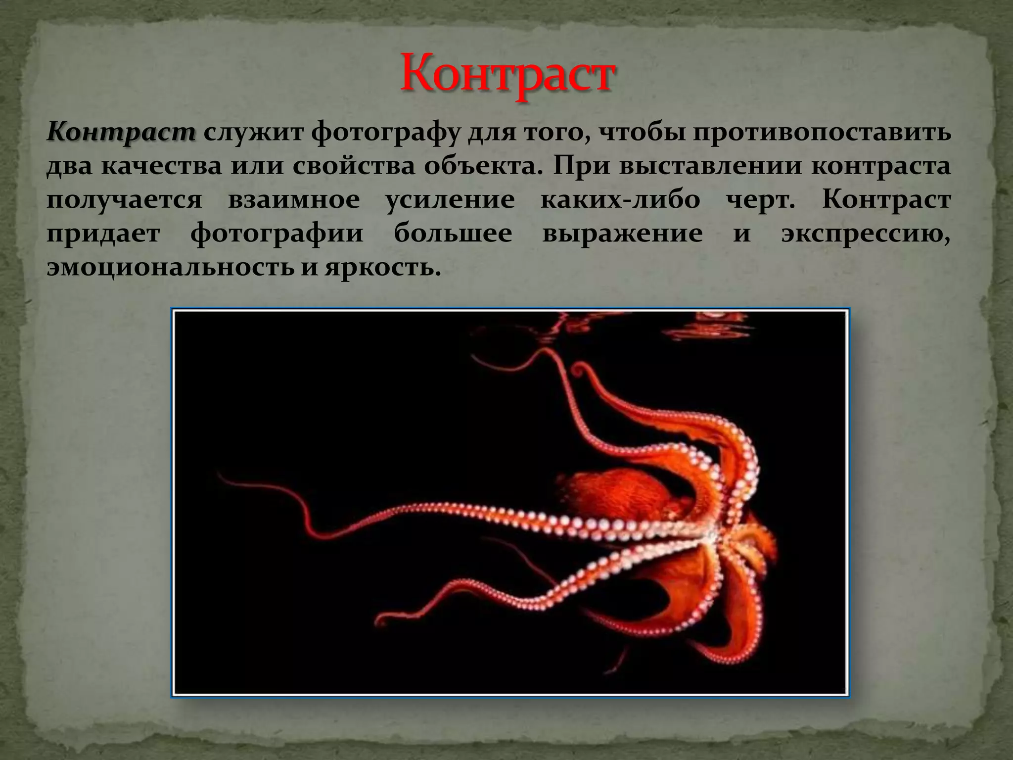 Контраст служит фотографу для того, чтобы противопоставить
два качества или свойства объекта. При выставлении контраста
получается взаимное усиление каких-либо черт. Контраст
придает фотографии большее выражение и экспрессию,
эмоциональность и яркость.
 