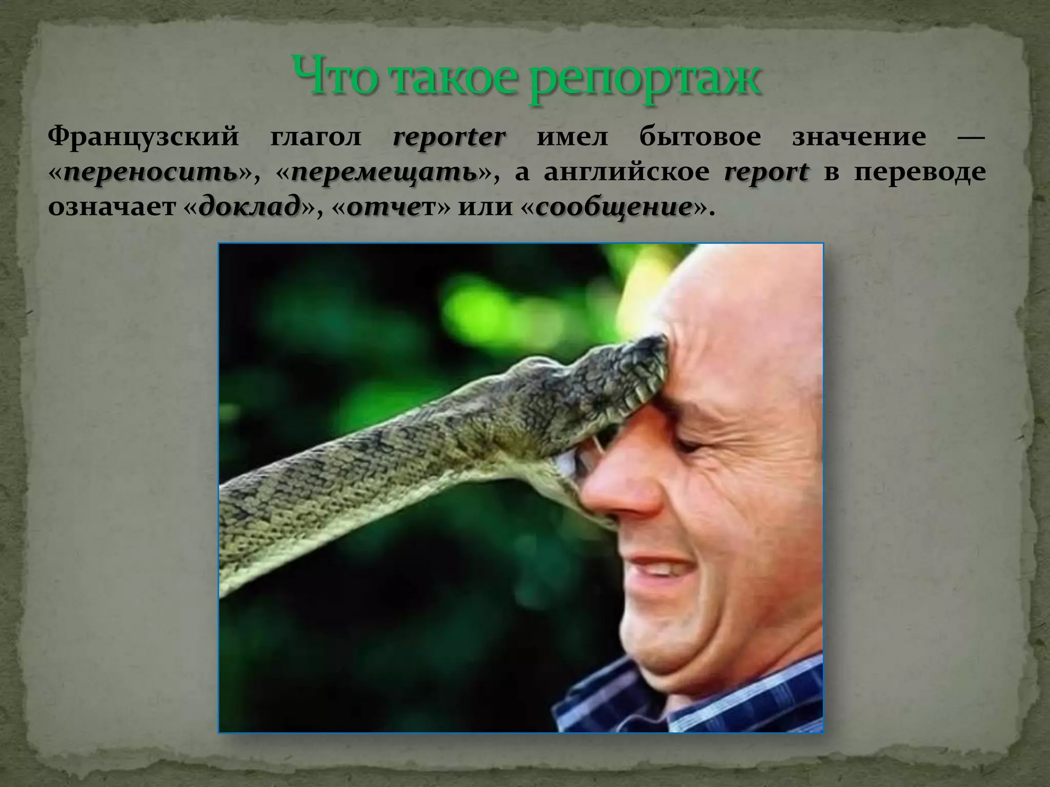 Французский глагол reporter имел бытовое значение —
«переносить», «перемещать», а английское report в переводе
означает «доклад», «отчет» или «сообщение».
 