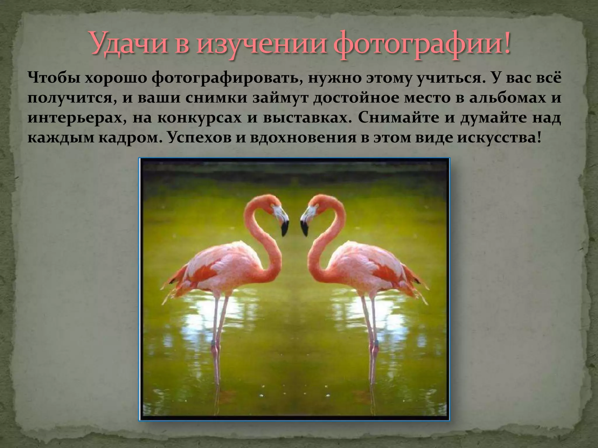 Чтобы хорошо фотографировать, нужно этому учиться. У вас всё
получится, и ваши снимки займут достойное место в альбомах и
интерьерах, на конкурсах и выставках. Снимайте и думайте над
каждым кадром. Успехов и вдохновения в этом виде искусства!
 