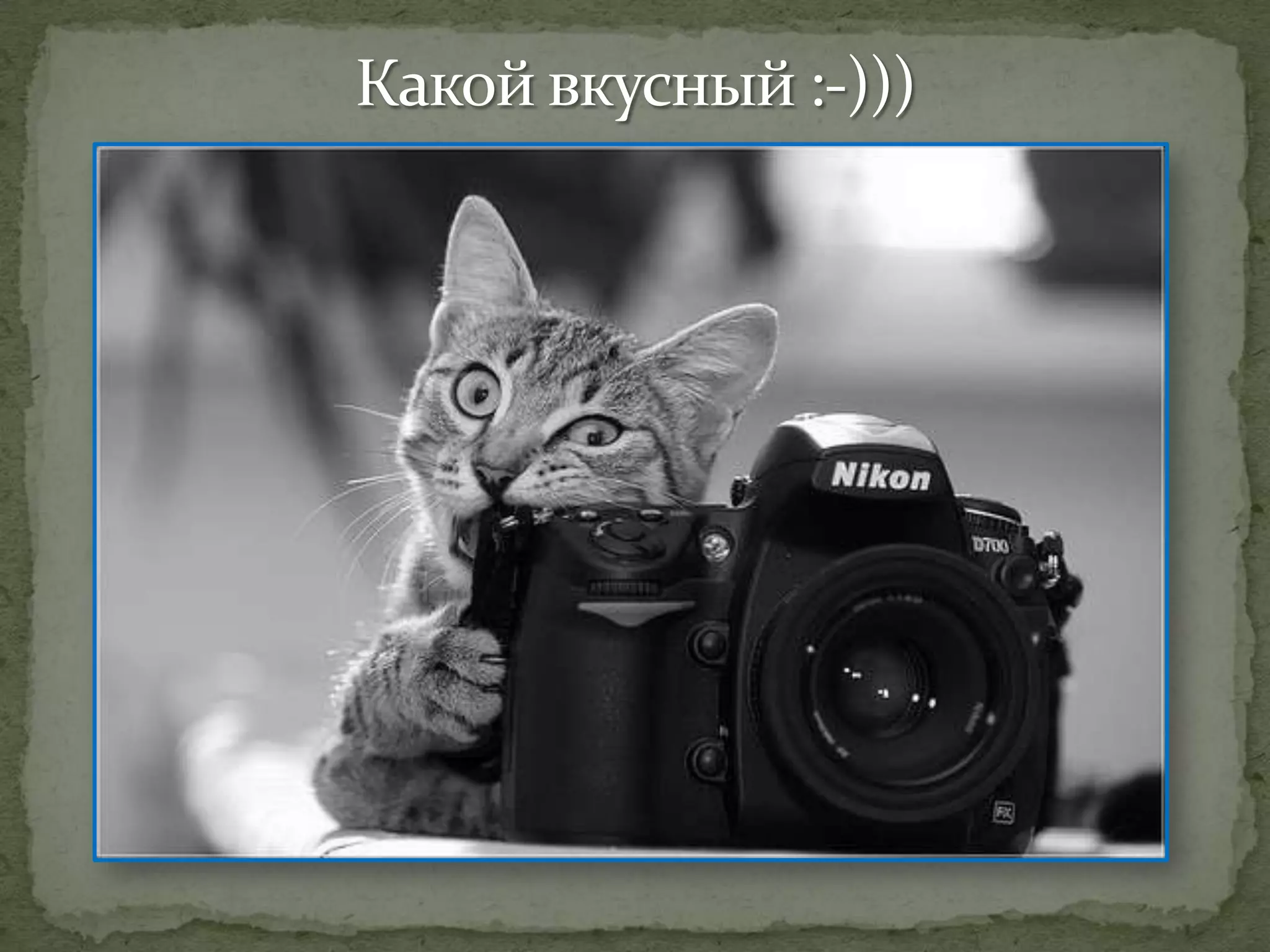 презентация программы волшебный мир фотографии