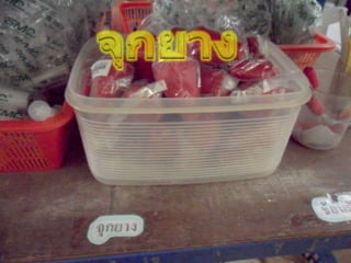 อุปกรณ์การสอนวิทยาศาสตร์ ร.ร.เลยอนุกูลวิทยา