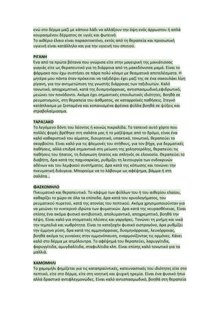ενώ	
  στο	
  δέρμα	
  μαζί	
  με	
  κάποιο	
  λάδι	
  να	
  αλλάξουν	
  την	
  όψη	
  ενός	
  άρρωστου	
  ή	
  απλά	
  
κουρασμένου	
  δέρματος	
  σε	
  υγιές	
  και	
  φωτεινό.	
  
Το	
  αιθέριο	
  έλαιο	
  είναι	
  παρασιτοκτόνο,	
  εκτός	
  από	
  τη	
  θεραπεία	
  και	
  προσωπική	
  
υγιεινή	
  είναι	
  κατάλληλο	
  και	
  για	
  την	
  υγιεινή	
  του	
  σπιτιού.	
  
	
  
ΡΙΓΑΝΗ	
  
Ένα	
  από	
  τα	
  πρώτα	
  βότανα	
  που	
  γνώρισα	
  είτε	
  στην	
  μαγειρική	
  της	
  μανιάτισσας	
  
γιαγιάς	
  είτε	
  ως	
  θεραπευτικό	
  για	
  τη	
  διάρροια	
  από	
  τη	
  μακεδόνισσα	
  μαμά.	
  Είναι	
  το	
  
φάρμακο	
  που	
  έχω	
  συστήσει	
  σε	
  πάρα	
  πολύ	
  κόσμο	
  με	
  θεαματικά	
  αποτελέσματα.	
  Η	
  
μητέρα	
  μου	
  πάντα	
  όταν	
  πρόκειται	
  να	
  ταξιδέψει	
  έχει	
  μαζί	
  της	
  σε	
  ένα	
  σακουλάκι	
  λίγη	
  
ρίγανη,	
  για	
  την	
  αντιμετώπιση	
  της	
  γνωστής	
  διάρροιας	
  των	
  ταξιδιωτών.	
  Καλό	
  
τονωτικό,	
  αποχρεμπτικό,	
  κατά	
  της	
  δυσμηνόρροιας,	
  αντισπασμωδικό,εφιδρωτικό,	
  
μειώνει	
  τον	
  πονόδοντο.	
  Ακόμα	
  έχει	
  σημαντικές	
  επουλωτικές	
  ιδιότητες.	
  Βοηθά	
  σε	
  
ρευματισμούς,	
  στη	
  θεραπεία	
  του	
  άσθματος,	
  σε	
  καταρροϊκές	
  παθήσεις.	
  Στεγνό	
  
κατάπλασμα	
  με	
  ζεσταμένα	
  και	
  κοπανισμένα	
  φρέσκα	
  φύλλα	
  βοηθά	
  σε	
  ψύξεις	
  και	
  
στραβολαίμιασμα.	
  
	
  
ΤΑΡΑΞΑΚΟ	
  
Το	
  λεγόμενο	
  δόντι	
  του	
  λέοντος	
  ή	
  κοινώς	
  πικραλίδα.	
  Το	
  ταπεινό	
  αυτό	
  χόρτο	
  που	
  
πολλές	
  φορές	
  βρέθηκε	
  στη	
  σαλάτα	
  μας	
  ή	
  το	
  μαζέψαμε	
  από	
  το	
  δρόμο,	
  είναι	
  ένα	
  
καλό	
  καθαριστικό	
  του	
  αίματος,	
  διουρητικό,	
  υπακτικό,	
  τονωτικό,	
  θεραπεύει	
  το	
  
σκορβούτο.	
  Είναι	
  καλό	
  για	
  τις	
  φλεμονές	
  του	
  στήθους,	
  για	
  τον	
  βήχα,	
  για	
  δερματικές	
  
παθήσεις,	
  αλλά	
  επιδρά	
  σημαντικά	
  στη	
  μείωση	
  της	
  χοληστερόλης,	
  θεραπεύει	
  τις	
  
παθήσεις	
  του	
  ήπατος,	
  τη	
  διόγκωση	
  ήπατος	
  και	
  σπληνός	
  σε	
  ελονοσία.	
  Θεραπεύει	
  το	
  
διαβήτη,	
  δρα	
  κατά	
  της	
  παχυσαρκίας,	
  ρυθμίζει	
  τη	
  λειτουργία	
  των	
  ενδοκρινών	
  
αδένων	
  και	
  του	
  λεμφικού	
  συστήματος.	
  Δρα	
  κατά	
  της	
  κόπωσης	
  και	
  τονώνει	
  την	
  
πνευματική	
  διάυγεια.	
  Μπορούμε	
  να	
  το	
  λάβουμε	
  ως	
  αφέψημα,	
  βάμμα	
  ή	
  στη	
  
σαλάτα…	
  
	
  
ΦΑΣΚΟΜΗΛΟ	
  
Πνευματικό	
  και	
  θεραπευτικό.	
  Το	
  κάψιμο	
  των	
  φύλλων	
  του	
  ή	
  του	
  αιθερίου	
  ελαίου,	
  
καθαρίζει	
  το	
  χώρο	
  σε	
  όλα	
  τα	
  επίπεδα.	
  Δρα	
  κατά	
  του	
  κρυολογήματος,	
  του	
  
ρευματικού	
  πυρετού,	
  κατά	
  της	
  ατονίας	
  του	
  πεπτικού.	
  Ακόμα	
  χρησιμοποιούνταν	
  για	
  
να	
  μειώνει	
  το	
  νυκτερινό	
  ιδρώτα	
  των	
  φυματικών.	
  Δρα	
  κατά	
  της	
  νευρασθένειας.	
  Είναι	
  
επίσης	
  ένα	
  ακόμα	
  φυσικό	
  αντιβιοτικό,	
  απολυμαντικό,	
  αποχρεμπτικό,	
  βοηθά	
  την	
  
πέψη.	
  Είναι	
  καλό	
  για	
  στοματικές	
  πλύσεις	
  και	
  γαργάρες.	
  Τονώνει	
  τη	
  μνήμη	
  και	
  νικά	
  
την	
  τεμπελιά	
  και	
  νωθρότητα.	
  Είναι	
  το	
  κατεξοχήν	
  φυσικό	
  οιστρογόνο,	
  άρα	
  ρυθμίζει	
  
την	
  έμμηνο	
  ρύση,	
  δρα	
  κατά	
  της	
  αμμηνόρροιας,	
  δυσμηνόρροιας,	
  λευκόρροιας,	
  
βοηθά	
  ακόμα	
  τις	
  γυναίκες	
  στην	
  εμμηνόπαυση,	
  εναρμονίζοντας	
  τις	
  ορμόνες.	
  Κάνει	
  
καλό	
  στο	
  δέρμα	
  με	
  ατμόλουτρα.	
  Το	
  αφέψημά	
  του	
  θεραπεύει,	
  λαρυγγίτιδα,	
  
φαρυγγίτιδα,	
  αμυγδαλίτιδα,	
  σταφυλίτιδα	
  κλπ.	
  Είναι	
  επίσης	
  καλό	
  τονωτικό	
  για	
  τα	
  
μαλλιά.	
  
	
  
ΧΑΜΟΜΗΛΙ	
  
Το	
  χαμομήλι	
  φημίζεται	
  για	
  τις	
  καταπραϋντικές,	
  κατευναστικές	
  του	
  ιδιότητες	
  είτε	
  στο	
  
πεπτικό,	
  είτε	
  στο	
  δέρμα,	
  είτε	
  στη	
  νοητική	
  και	
  ψυχική	
  ηρεμία.	
  Είναι	
  ένα	
  φυσικό	
  ήπιο	
  
αλλά	
  δραστικό	
  αντιφλεγμονώδες.	
  Είναι	
  καλό	
  αντισπασμωδικό,	
  βοηθά	
  στη	
  θεραπεία	
  
 