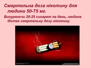 Смертельна доза нікотину для
людини 50-75 мг.
Викурюючи 20-25 сигарет на день, людина
дістає смертельну дозу нікотину.
 