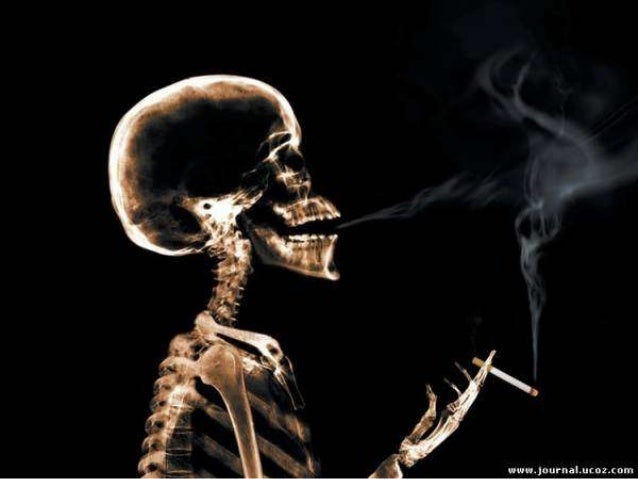 Чому курці кашляють?
• Головною причиною виникнення і розвитку «тютюнового» кашлю стають краплі
дьогтю, що осіли в легенях...