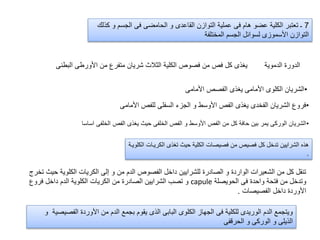 7‫الجسم‬ ‫فى‬ ‫الحامضى‬ ‫و‬ ‫القاعدى‬ ‫التوازن‬ ‫عملية‬ ‫فى‬ ‫هام‬ ‫عضو‬ ‫الكلية‬ ‫تعتبر‬ ‫ـ‬‫كذلك‬ ‫و‬
‫المختلفة‬ ‫الجسم‬ ‫لسوائل‬ ‫األسموزى‬ ‫التوازن‬
•‫ا‬ ‫الفص‬ ‫يغذى‬ ‫حيث‬ ‫الخلفى‬ ‫الفص‬ ‫و‬ ‫األوسط‬ ‫الفص‬ ‫من‬ ‫كل‬ ‫حافة‬ ‫بين‬ ‫يمر‬ ‫الوركى‬ ‫الشريان‬‫اساسا‬ ‫لخلفى‬
‫الدموية‬ ‫الدورة‬‫ا‬ ‫األورطى‬ ‫من‬ ‫متفرع‬ ‫شريان‬ ‫الثالث‬ ‫الكلية‬ ‫فصوص‬ ‫من‬ ‫فص‬ ‫كل‬ ‫يغذى‬‫لبطنى‬
•‫األمامى‬ ‫الفصص‬ ‫يغذى‬ ‫األمامى‬ ‫الكلوى‬ ‫الشريان‬
•‫األمامى‬ ‫للفص‬ ‫السفلى‬ ‫الجزء‬ ‫و‬ ‫األوسط‬ ‫الفص‬ ‫يغذى‬ ‫الفخدى‬ ‫الشريان‬ ‫فروع‬
‫الكر‬ ‫تغذى‬ ‫حيث‬ ‫الكلية‬ ‫فصيصات‬ ‫من‬ ‫فصيص‬ ‫كل‬ ‫تدخل‬ ‫الشرايين‬ ‫هذه‬‫الكلوياة‬ ‫ياات‬
.
‫ح‬ ‫الكلوية‬ ‫الكريات‬ ‫إلى‬ ‫و‬ ‫من‬ ‫الدم‬ ‫الفصوص‬ ‫داخل‬ ‫للشرايين‬ ‫الصادرة‬ ‫و‬ ‫الواردة‬ ‫الشعيرات‬ ‫من‬ ‫كل‬ ‫تنقل‬‫تخرج‬ ‫يث‬
‫الحويصلة‬ ‫فى‬ ‫واحدة‬ ‫فتحة‬ ‫من‬ ‫وتدخل‬capule‫فروع‬ ‫داخل‬ ‫الدم‬ ‫الكلوية‬ ‫الكريات‬ ‫من‬ ‫الصادرة‬ ‫الشرايين‬ ‫تصب‬ ‫و‬
‫الفصيصات‬ ‫داخل‬ ‫األوردة‬.
‫الفص‬ ‫األوردة‬ ‫من‬ ‫الدم‬ ‫بجمع‬ ‫يقوم‬ ‫الذى‬ ‫البابى‬ ‫الكلوى‬ ‫الجهاز‬ ‫فى‬ ‫للكلية‬ ‫الوريدى‬ ‫الدم‬ ‫ويتجمع‬‫و‬ ‫يصية‬
‫الحرقفى‬ ‫و‬ ‫الوركى‬ ‫و‬ ‫الذيلى‬
 