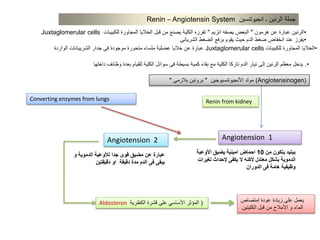 •.‫داخلها‬ ‫وظائف‬ ‫بعدة‬ ‫للقيام‬ ‫الكلية‬ ‫سوائل‬ ‫فى‬ ‫بسيطة‬ ‫كمية‬ ‫بقاء‬ ‫مع‬ ‫الكلية‬ ‫تاركا‬ ‫الدم‬ ‫تيار‬ ‫إلى‬ ‫الرنين‬ ‫معظم‬ ‫يدخل‬
Renin from kidney
Angiotension 1Angiotension 2
Converting enzymes from lungs
Aldosteron (‫الكظرية‬ ‫قشرة‬ ‫على‬ ‫األساسي‬ ‫المؤثر‬ ‫إمتصاص‬ ‫عودة‬ ‫زيادة‬ ‫على‬ ‫يعمل‬
‫الكليتين‬ ‫قبل‬ ‫من‬ ‫األمالح‬ ‫و‬ ‫الماء‬
‫من‬ ‫يتكون‬ ‫ببتيد‬10‫األوعية‬ ‫يضيق‬ ‫امينية‬ ‫احماض‬
‫تغي‬ ‫إلحداث‬ ‫يكفى‬ ‫ال‬ ‫الكنه‬ ‫معتدل‬ ‫بشكل‬ ‫الدموية‬‫رات‬
‫الدوران‬ ‫فى‬ ‫هامة‬ ‫وظيفية‬
‫و‬ ‫الدموية‬ ‫لألوعية‬ ‫جدا‬ ‫قوى‬ ‫مضيق‬ ‫عن‬ ‫عبارة‬
‫دقيقتين‬ ‫او‬ ‫دقيقة‬ ‫مدة‬ ‫الدم‬ ‫فى‬ ‫يبقى‬
‫انجيوتنسين‬ ‫ـ‬ ‫الرنين‬ ‫جملة‬Renin – Angiotensin System
•‫هرمون‬ ‫عن‬ ‫عبارة‬ ‫الرنين‬"‫انزيم‬ ‫يصفه‬ ‫البعض‬"‫للكبيبات‬ ‫المجاورة‬ ‫الخاليا‬ ‫قبل‬ ‫من‬ ‫يصنع‬ ‫الكلية‬ ‫تفرزه‬Juxtaglomerular cells
•‫الشريانى‬ ‫الضغط‬ ‫برفع‬ ‫يقوم‬ ‫حيث‬ ‫الدم‬ ‫ضغط‬ ‫انخفاض‬ ‫عند‬ ‫يفرز‬
•‫للكبيبات‬ ‫المجاورة‬ ‫الخاليا‬Juxtaglomerular cells‫الواردة‬ ‫الشرييانات‬ ‫جدار‬ ‫فى‬ ‫موجودة‬ ‫متحورة‬ ‫ملساء‬ ‫عضلية‬ ‫خاليا‬ ‫عن‬ ‫عبارة‬
(Angiotensinogen)‫األنجيوتنسيوجين‬ ‫مولد‬"‫بالزمى‬ ‫بروتين‬"
 