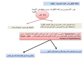 ‫بالكلية‬ ‫النخامية‬ ‫الغدة‬ ‫و‬ ‫الكظرية‬ ‫عالقة‬
‫األنبيبات‬ ‫فى‬ ‫وظيفته‬ ‫يؤدى‬ ‫و‬ ‫الكظرية‬ ‫الغدة‬ ‫من‬ ‫االلدوستيرون‬ ‫يفرز‬
‫الكلوية‬
‫على‬ ‫يعمل‬
‫الكلوية‬ ‫األنبيبات‬ ‫قبل‬ ‫من‬ ‫الصوديوم‬ ‫و‬ ‫الماء‬ ‫امتصاص‬ ‫زيادة‬
(‫ثابته‬ ‫الدم‬ ‫فى‬ ‫البوتاسيوم‬ ‫و‬ ‫الصوديوم‬ ‫نسبة‬ ‫على‬ ‫المحافظة‬)•‫ثابته‬ ‫الدم‬ ‫ضغط‬ ‫و‬ ‫حجم‬ ‫على‬ ‫الحفاظ‬.
•‫يخزن‬( Vasopressin )‫ياؤ‬ ‫و‬ ‫النخامياة‬ ‫للغادة‬ ‫الخلفاى‬ ‫الفاص‬ ‫فاى‬ ‫الباول‬ ‫إلدرار‬ ‫المضاد‬ ‫الهرمون‬‫دى‬
‫اوتالمس‬‫ا‬‫الهيب‬ ‫اى‬‫ا‬‫ف‬ ‫ارية‬‫ا‬‫بص‬ ‫اوق‬‫ا‬‫الف‬ ‫اة‬‫ا‬‫األنوي‬ ‫ان‬‫ا‬‫م‬ ‫ارز‬‫ا‬‫يف‬ ‫اة‬‫ا‬‫الكلوي‬ ‫اات‬‫ا‬‫اإلنبيب‬ ‫اى‬‫ا‬‫ف‬ ‫اه‬‫ا‬‫وظائف‬Supra optic
nucleus of Hypothalamus
•‫الناتج‬ ‫البول‬ ‫كمية‬ ‫من‬ ‫يقلل‬ ‫حيث‬ ‫الماء‬ ‫امتصاص‬ ‫من‬ ‫يزيد‬.
‫الجسم‬ ‫فى‬ ‫الماء‬ ‫كمية‬ ‫تنظيم‬ ‫فى‬ ‫يساعد‬ ‫بالتالي‬
 