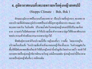 4. ภูมิอากาศแบบกึงทะเลทรายหรือทุ่งหญ้าสแตปป์
(Stepps Climate : Bsh, Bsk )
ลักษณะภูมิอากาศเป็นแบบกึงทะเลทราย เป็นบริเวณทีอยู่รอบๆ ทะเลทราย
และบริเวณทีมีลักษณะภูมิประเทศเป็นแอ่งทีมีภูเขาสูงล้อมรอบ (Basin) เช่น
ทะเลทรายตาริม ในอินเดีย ปริมาณนําฝนในเขตทุ่งหญ้าสแตปป์มีปริมาณน้อย
มาก บางแห่งไม่มีฝนตกเลย ทําให้บริเวณนีจะทําการเพาะปลูกได้ต้องอาศัยระบบ
ชลประทานเข้าช่วยจึงจะสามารถเพาะปลูกได้
พืชพันธุ์ธรรมชาติในบริเวณนีเป็น หญ้าตนสันๆ รากตืน โดยมากอยู่ใน
บริเวณกึงแห้งแล้ง ในบริเวณทีแห้งแล้งมากตนหญ้าก็จะสันมาก ในช่วงฤดูฝนใน
พืนทีทีมีฝนตกพอเพียงก็จะทําให้ต้นหญ้าเหล่านีเจริญเติบโตอย่างรวดเร็ว จนทําให้
กลายสภาพเป็นทุ่งหญ้าเขียวขจีขนาดใหญ่ แต่เมือหมดฝน ทุ่งหญ้าเหล่านีก็เฉาตาย
กลายเป็นทุ่งหญ้าต้นสันๆ เหมือนเดิม
 