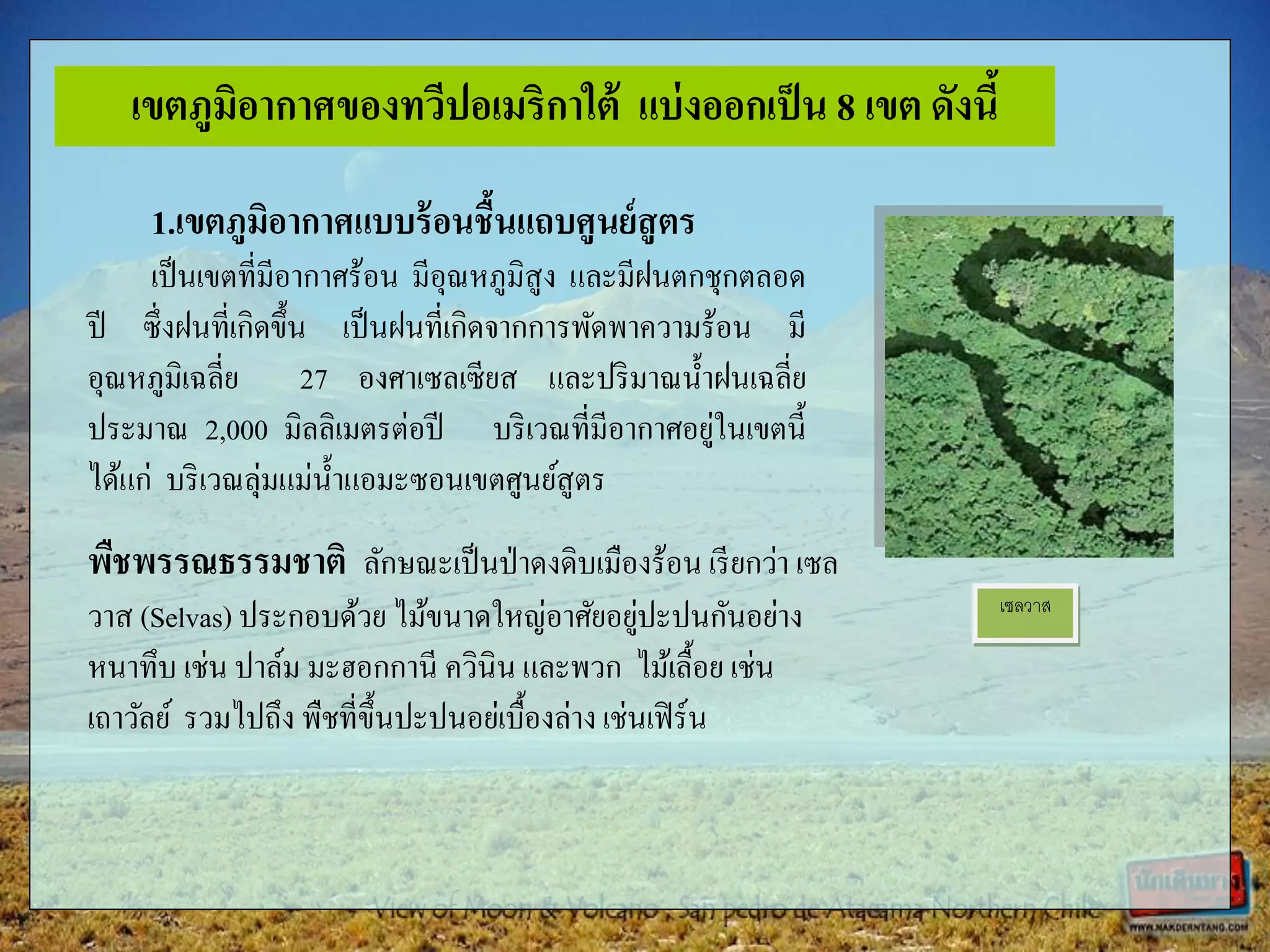 เซลวาส
เขตภูมิอากาศของทวีปอเมริกาใต้ แบ่งออกเป็น 8 เขต ดังนี้
1.เขตภูมิอากาศแบบร้อนชื้นแถบศูนย์สูตร
เป็นเขตที่มีอากาศร้อน มีอุณหภูมิสูง และมีฝนตกชุกตลอด
ปี ซึ่งฝนที่เกิดขึ้น เป็นฝนที่เกิดจากการพัดพาความร้อน มี
อุณหภูมิเฉลี่ย 27 องศาเซลเซียส และปริมาณน้าฝนเฉลี่ย
ประมาณ 2,000 มิลลิเมตรต่อปี บริเวณที่มีอากาศอยู่ในเขตนี้
ได้แก่ บริเวณลุ่มแม่น้าแอมะซอนเขตศูนย์สูตร
พืชพรรณธรรมชาติ ลักษณะเป็นป่าดงดิบเมืองร้อน เรียกว่า เซล
วาส (Selvas) ประกอบด้วย ไม้ขนาดใหญ่อาศัยอยู่ปะปนกันอย่าง
หนาทึบ เช่น ปาล์ม มะฮอกกานี ควินิน และพวก ไม้เลื้อย เช่น
เถาวัลย์ รวมไปถึง พืชที่ขึ้นปะปนอย่เบื้องล่างเช่นเฟิร์น
 
