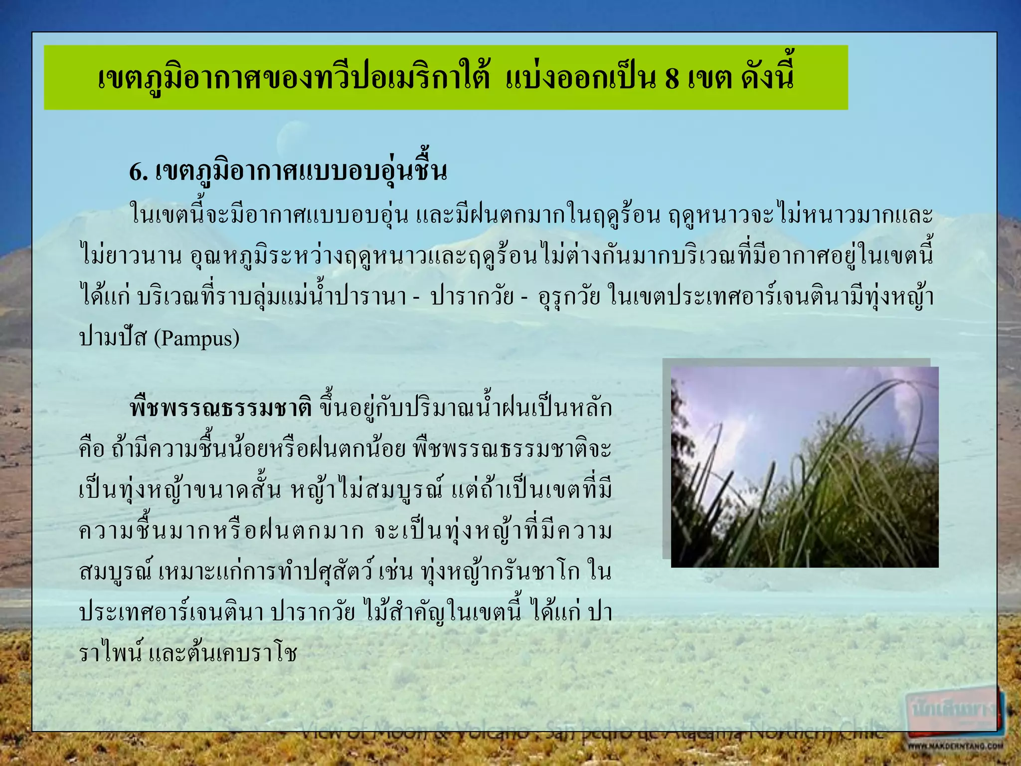 6. เขตภูมิอากาศแบบอบอุ่นชื้น
ในเขตนี้จะมีอากาศแบบอบอุ่น และมีฝนตกมากในฤดูร้อน ฤดูหนาวจะไม่หนาวมากและ
ไม่ยาวนาน อุณหภูมิระหว่างฤดูหนาวและฤดูร้อนไม่ต่างกันมากบริเวณที่มีอากาศอยู่ในเขตนี้
ได้แก่ บริเวณที่ราบลุ่มแม่น้าปารานา - ปารากวัย - อุรุกวัย ในเขตประเทศอาร์เจนตินามีทุ่งหญ้า
ปามปัส (Pampus)
พืชพรรณธรรมชาติ ขึ้นอยู่กับปริมาณน้าฝนเป็นหลัก
คือ ถ้ามีความชื้นน้อยหรือฝนตกน้อย พืชพรรณธรรมชาติจะ
เป็นทุ่งหญ้าขนาดสั้น หญ้าไม่สมบูรณ์ แต่ถ้าเป็นเขตที่มี
ความชื้นมากหรือฝนตกมาก จะเป็นทุ่งหญ้าที่มีความ
สมบูรณ์ เหมาะแก่การทาปศุสัตว์เช่น ทุ่งหญ้ากรันชาโก ใน
ประเทศอาร์เจนตินา ปารากวัย ไม้สาคัญในเขตนี้ ได้แก่ ปา
ราไพน์ และต้นเคบราโช
เขตภูมิอากาศของทวีปอเมริกาใต้ แบ่งออกเป็น 8 เขต ดังนี้
 
