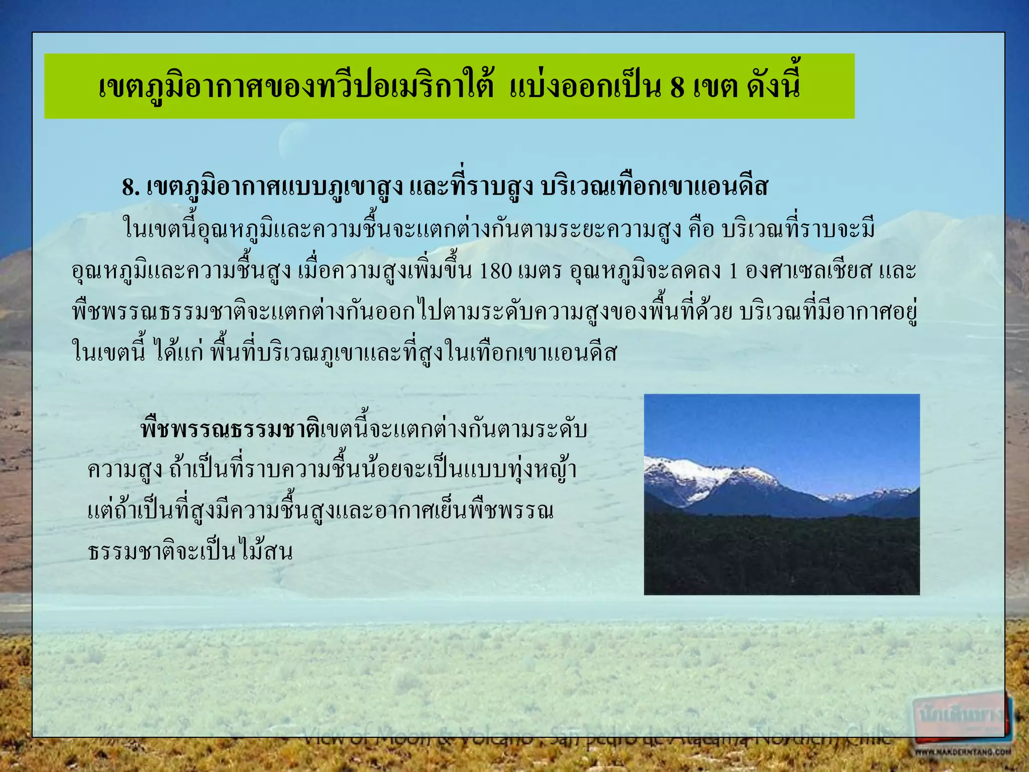 8. เขตภูมิอากาศแบบภูเขาสูงและที่ราบสูง บริเวณเทือกเขาแอนดีส
ในเขตนี้อุณหภูมิและความชื้นจะแตกต่างกันตามระยะความสูง คือ บริเวณที่ราบจะมี
อุณหภูมิและความชื้นสูง เมื่อความสูงเพิ่มขึ้น 180 เมตร อุณหภูมิจะลดลง 1 องศาเซลเชียส และ
พืชพรรณธรรมชาติจะแตกต่างกันออกไปตามระดับความสูงของพื้นที่ด้วย บริเวณที่มีอากาศอยู่
ในเขตนี้ ได้แก่ พื้นที่บริเวณภูเขาและที่สูงในเทือกเขาแอนดีส
พืชพรรณธรรมชาติเขตนี้จะแตกต่างกันตามระดับ
ความสูง ถ้าเป็นที่ราบความชื้นน้อยจะเป็นแบบทุ่งหญ้า
แต่ถ้าเป็นที่สูงมีความชื้นสูงและอากาศเย็นพืชพรรณ
ธรรมชาติจะเป็นไม้สน
เขตภูมิอากาศของทวีปอเมริกาใต้ แบ่งออกเป็น 8 เขต ดังนี้
 