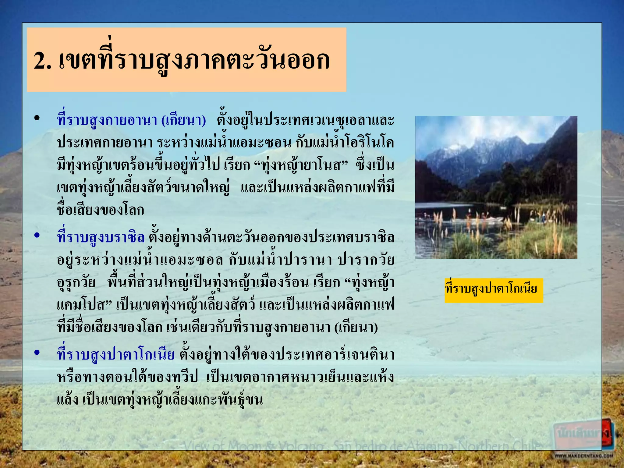 • ที่ราบสูงกายอานา (เกียนา) ตั้งอยู่ในประเทศเวเนซุเอลาและ
ประเทศกายอานา ระหว่างแม่น้าแอมะซอน กับแม่น้าโอริโนโค
มีทุ่งหญ้าเขตร้อนขึ้นอยู่ทั่วไป เรียก “ทุ่งหญ้ายาโนส” ซึ่งเป็น
เขตทุ่งหญ้าเลี้ยงสัตว์ขนาดใหญ่ และเป็นแหล่งผลิตกาแฟที่มี
ชื่อเสียงของโลก
• ที่ราบสูงบราซิล ตั้งอยู่ทางด้านตะวันออกของประเทศบราซิล
อยู่ระหว่างแม่น้าแอมะซอล กับแม่น้าปารานา ปารากวัย
อุรุกวัย พื้นที่ส่วนใหญ่เป็นทุ่งหญ้าเมืองร้อน เรียก “ทุ่งหญ้า
แคมโปส” เป็นเขตทุ่งหญ้าเลี้ยงสัตว์ และเป็นแหล่งผลิตกาแฟ
ที่มีชื่อเสียงของโลก เช่นเดียวกับที่ราบสูงกายอานา (เกียนา)
• ที่ราบสูงปาตาโกเนีย ตั้งอยู่ทางใต้ของประเทศอาร์เจนตินา
หรือทางตอนใต้ของทวีป เป็นเขตอากาศหนาวเย็นและแห้ง
แล้ง เป็นเขตทุ่งหญ้าเลี้ยงแกะพันธุ์ขน
2. เขตที่ราบสูงภาคตะวันออก
ที่ราบสูงปาตาโกเนีย
 