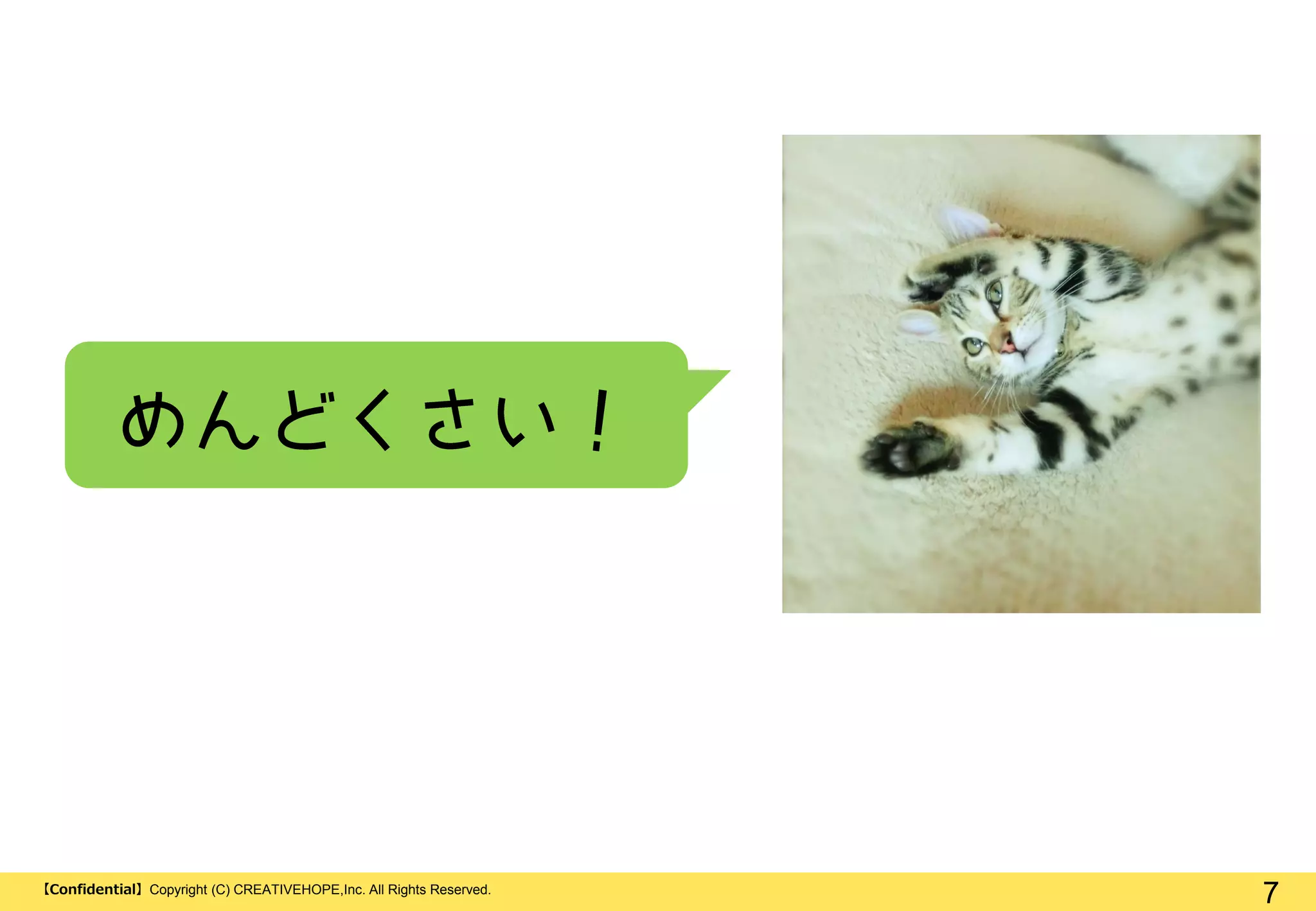 7【Confidential】Copyright (C) CREATIVEHOPE,Inc. All Rights Reserved.
 