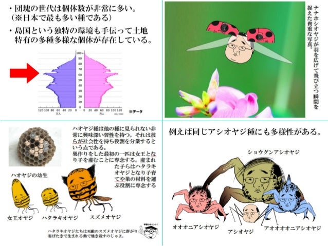 おやじ観察キットの企画はどのように生まれているのか ノンプロモーションでランキング上位に入る方法