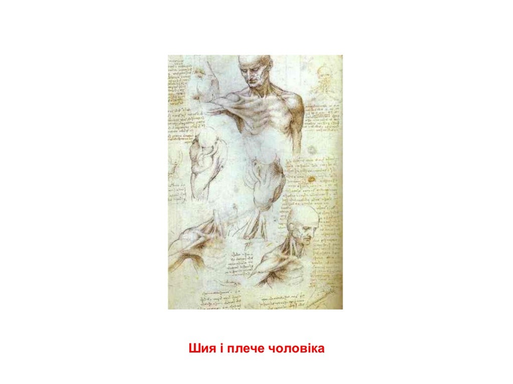 Картини Леонардо да Вінчі