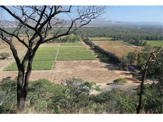 замбия. риверсайд