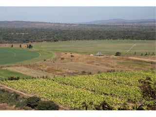 замбия. риверсайд