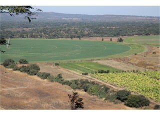 замбия. риверсайд