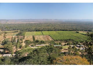 замбия. риверсайд