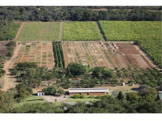 замбия. риверсайд