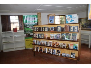 замбия. риверсайд