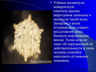  Учёные выдвинули
невероятную
гипотезу,законы
мироздания записаны в
молекуле талой воды.
Замерзая,а затем
оттаивая,вода стирает
всё,оставляя лишь
базовую информацию
жизни. Талая вода не
знает об окружающей её
действительности и лишь
человек способен
наполнить её новыми
знаниями.
© Natalja Fadejeva,
Visagino “Geriosios vilties” secondary
 