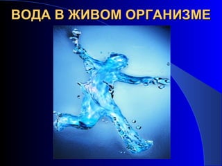 ВОДА В ЖИВОМ ОРГАНИЗМЕВОДА В ЖИВОМ ОРГАНИЗМЕ
 
