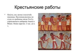 Крестьянские работы
• Пахота, сев, жатва и молотьба
пшеницы. Настенная роспись по
стуку из гробницы писца Ун-Су,
управляющего амбарами Амона в
Фивах. Новое царство. 2 тыс. до н.
э.
 