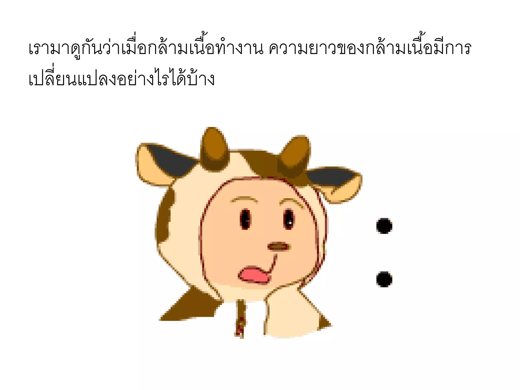 เรามาดูกันว่าเมื่อกล้ามเนื้อทางาน ความยาวของกล้ามเนื้อมีการ
เปลี่ยนแปลงอย่างไรได้บ้าง
 