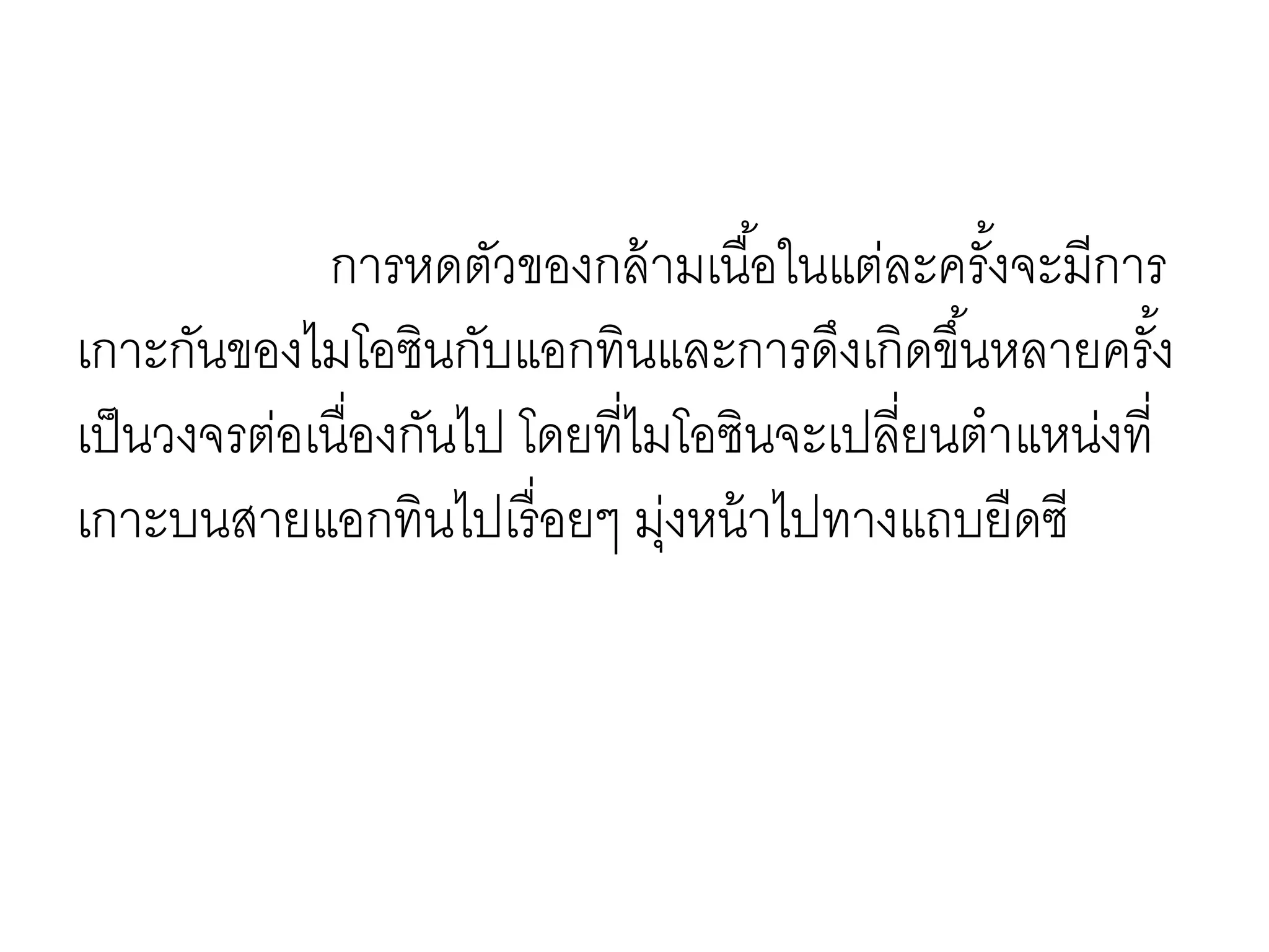 การหดตัวของกล้ามเนื้อในแต่ละครั้งจะมีการ
เกาะกันของไมโอซินกับแอกทินและการดึงเกิดขึ้นหลายครั้ง
เป็นวงจรต่อเนื่องกันไป โดยที่ไมโอซินจะเปลี่ยนตาแหน่งที่
เกาะบนสายแอกทินไปเรื่อยๆ มุ่งหน้าไปทางแถบยืดซี
 