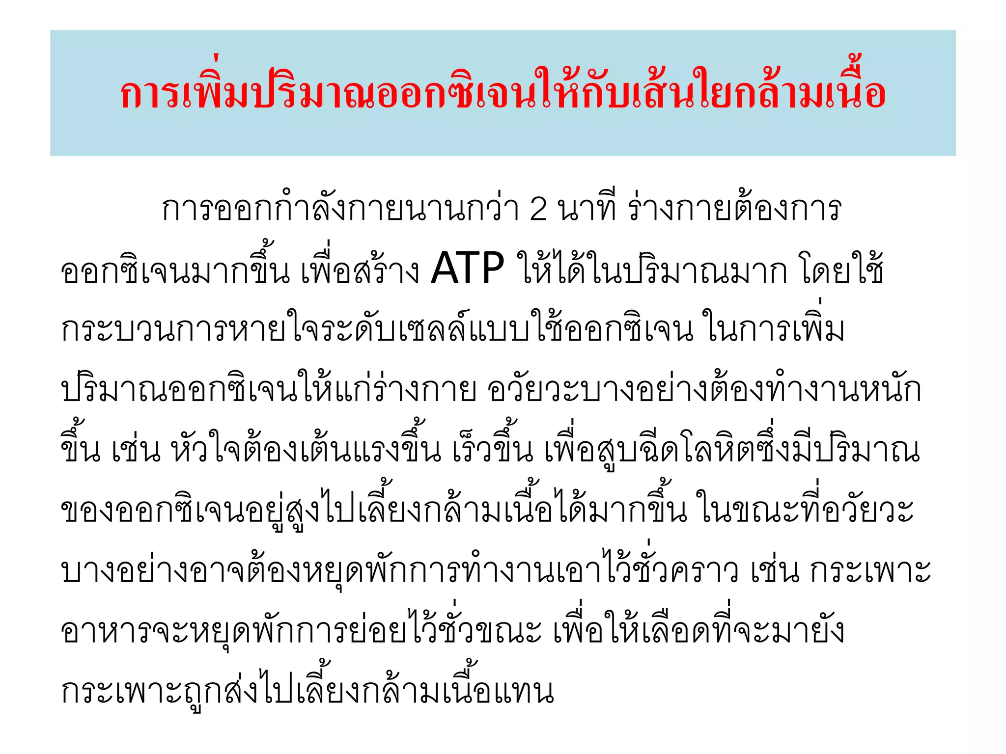 การเพิ่มปริมาณออกซิเจนให้กับเส้นใยกล้ามเนื้อ
การออกกาลังกายนานกว่า 2 นาที ร่างกายต้องการ
ออกซิเจนมากขึ้น เพื่อสร้าง ATP ให้ได้ในปริมาณมาก โดยใช้
กระบวนการหายใจระดับเซลล์แบบใช้ออกซิเจน ในการเพิ่ม
ปริมาณออกซิเจนให้แก่ร่างกาย อวัยวะบางอย่างต้องทางานหนัก
ขึ้น เช่น หัวใจต้องเต้นแรงขึ้น เร็วขึ้น เพื่อสูบฉีดโลหิตซึ่งมีปริมาณ
ของออกซิเจนอยู่สูงไปเลี้ยงกล้ามเนื้อได้มากขึ้น ในขณะที่อวัยวะ
บางอย่างอาจต้องหยุดพักการทางานเอาไว้ชั่วคราว เช่น กระเพาะ
อาหารจะหยุดพักการย่อยไว้ชั่วขณะ เพื่อให้เลือดที่จะมายัง
กระเพาะถูกส่งไปเลี้ยงกล้ามเนื้อแทน
 