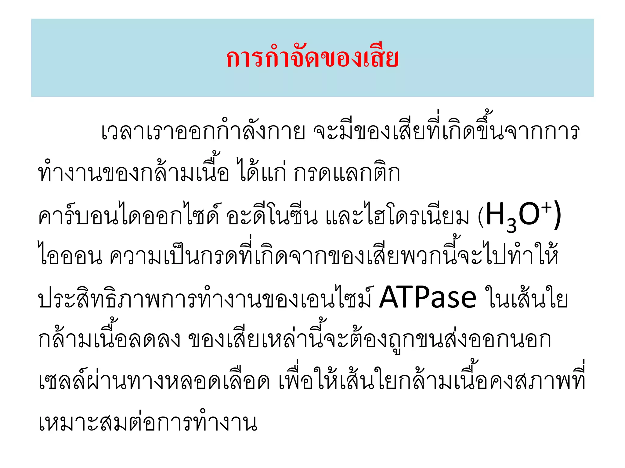การกาจัดของเสีย
เวลาเราออกกาลังกาย จะมีของเสียที่เกิดขึ้นจากการ
ทางานของกล้ามเนื้อ ได้แก่ กรดแลกติก
คาร์บอนไดออกไซด์ อะดีโนซีน และไฮโดรเนียม (H3O+)
ไอออน ความเป็นกรดที่เกิดจากของเสียพวกนี้จะไปทาให้
ประสิทธิภาพการทางานของเอนไซม์ ATPase ในเส้นใย
กล้ามเนื้อลดลง ของเสียเหล่านี้จะต้องถูกขนส่งออกนอก
เซลล์ผ่านทางหลอดเลือด เพื่อให้เส้นใยกล้ามเนื้อคงสภาพที่
เหมาะสมต่อการทางาน
 