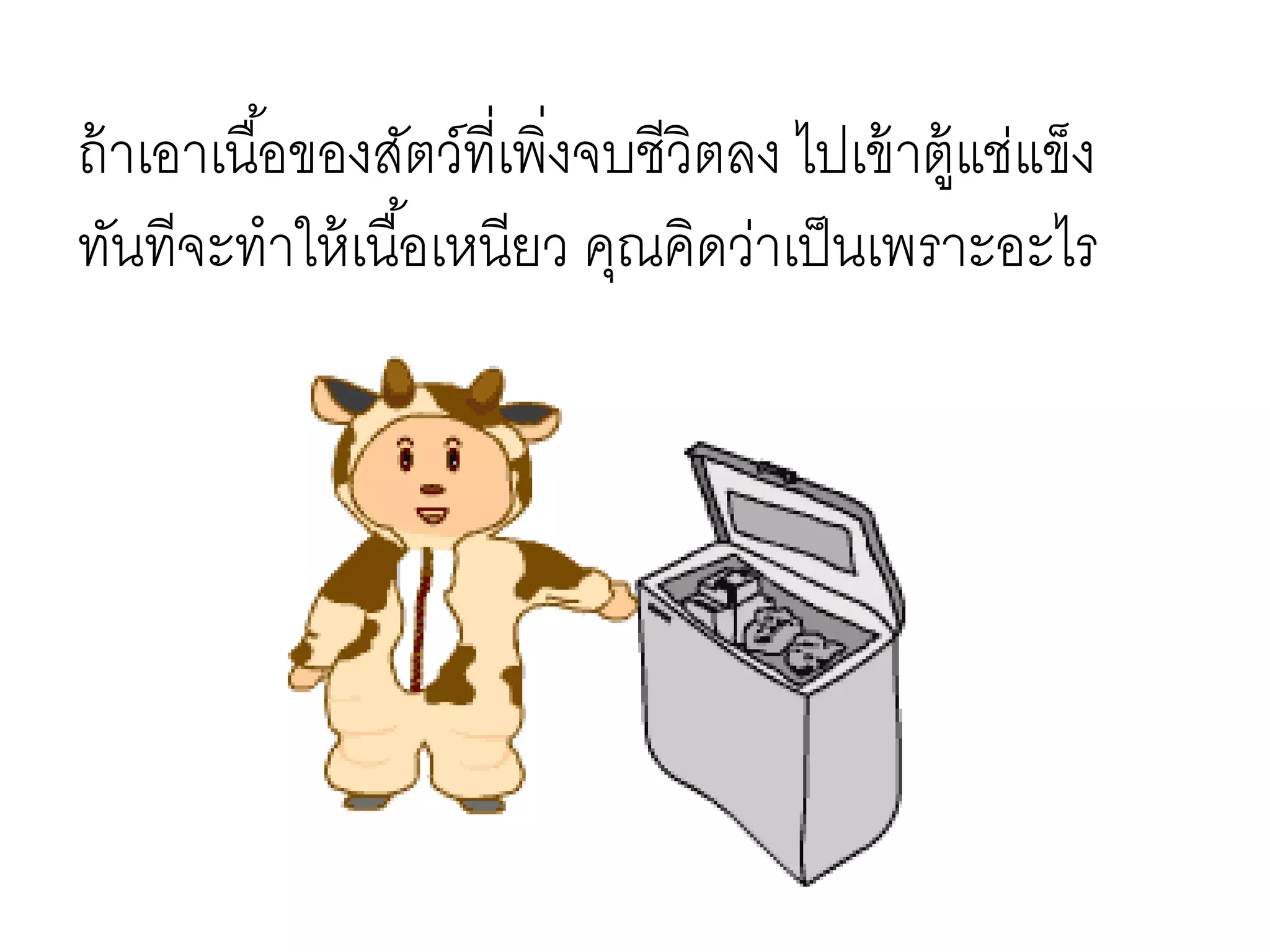 ถ้าเอาเนื้อของสัตว์ที่เพิ่งจบชีวิตลง ไปเข้าตู้แช่แข็ง
ทันทีจะทาให้เนื้อเหนียว คุณคิดว่าเป็นเพราะอะไร
 