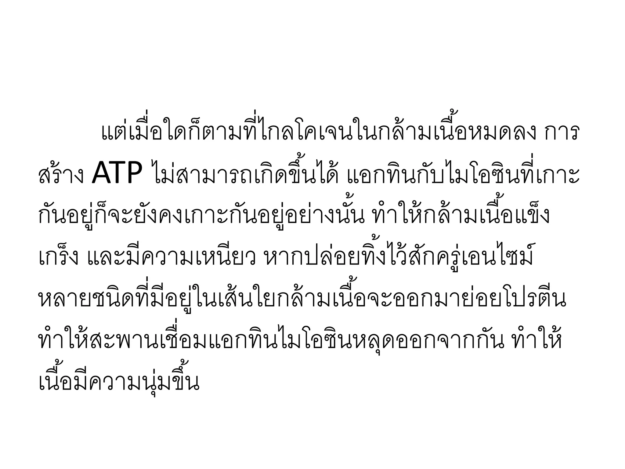 แต่เมื่อใดก็ตามที่ไกลโคเจนในกล้ามเนื้อหมดลง การ
สร้าง ATP ไม่สามารถเกิดขึ้นได้ แอกทินกับไมโอซินที่เกาะ
กันอยู่ก็จะยังคงเกาะกันอยู่อย่างนั้น ทาให้กล้ามเนื้อแข็ง
เกร็ง และมีความเหนียว หากปล่อยทิ้งไว้สักครู่เอนไซม์
หลายชนิดที่มีอยู่ในเส้นใยกล้ามเนื้อจะออกมาย่อยโปรตีน
ทาให้สะพานเชื่อมแอกทินไมโอซินหลุดออกจากกัน ทาให้
เนื้อมีความนุ่มขึ้น
 