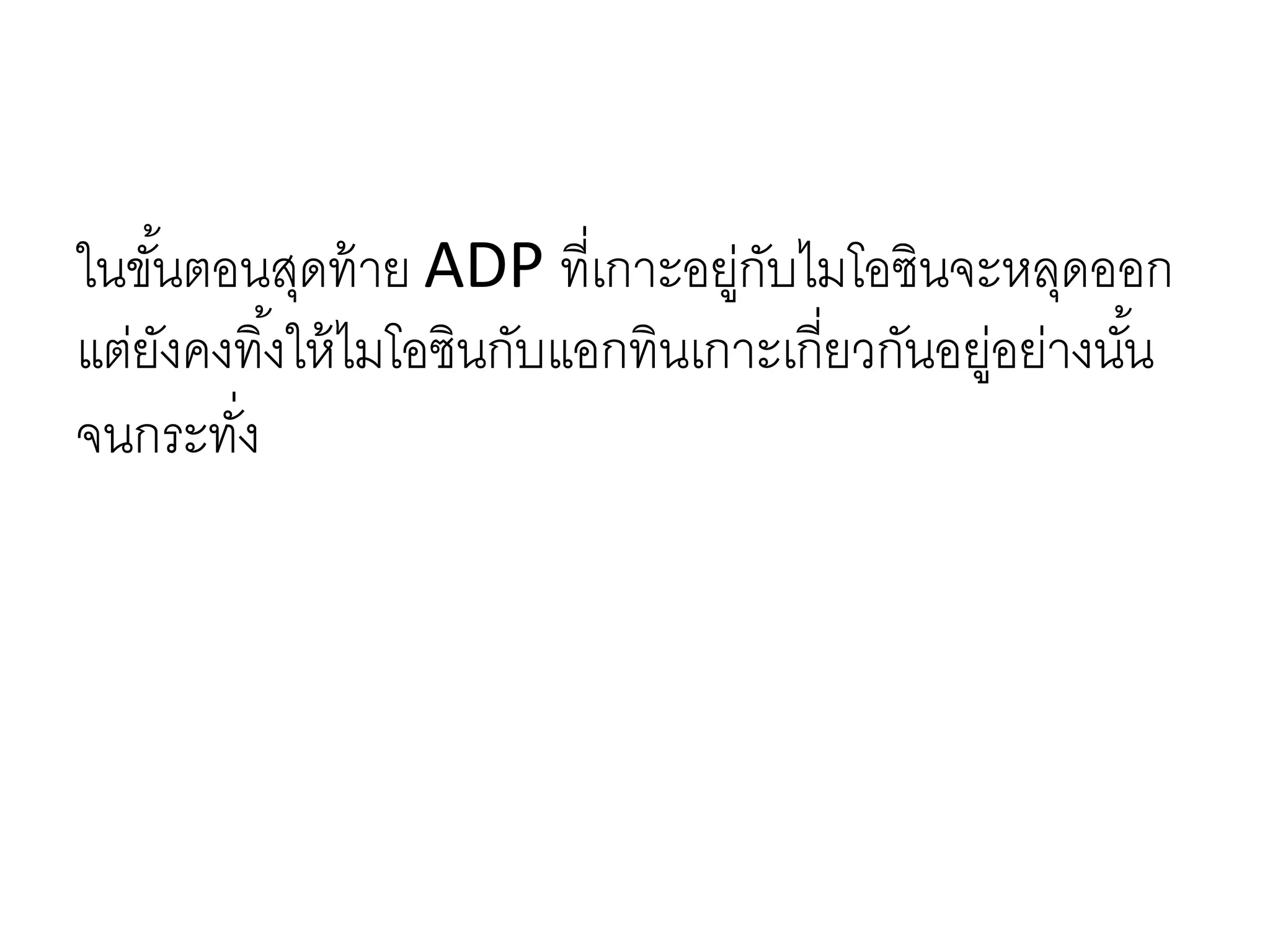 ในขั้นตอนสุดท้าย ADP ที่เกาะอยู่กับไมโอซินจะหลุดออก
แต่ยังคงทิ้งให้ไมโอซินกับแอกทินเกาะเกี่ยวกันอยู่อย่างนั้น
จนกระทั่ง
 