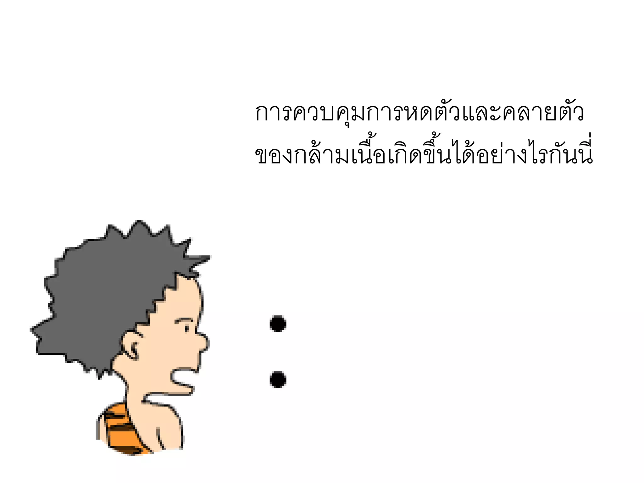 การควบคุมการหดตัวและคลายตัว
ของกล้ามเนื้อเกิดขึ้นได้อย่างไรกันนี่
 