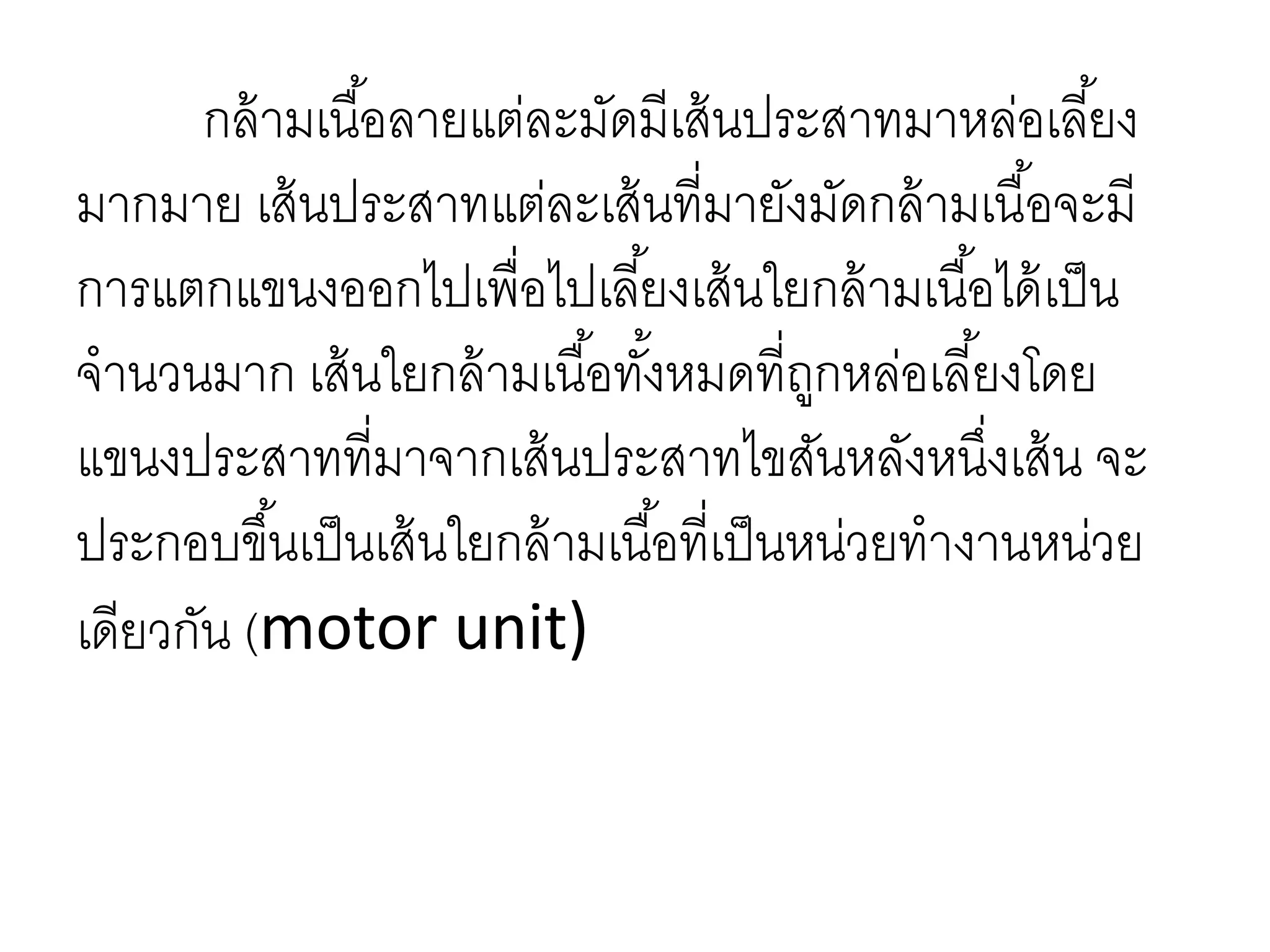 กล้ามเนื้อลายแต่ละมัดมีเส้นประสาทมาหล่อเลี้ยง
มากมาย เส้นประสาทแต่ละเส้นที่มายังมัดกล้ามเนื้อจะมี
การแตกแขนงออกไปเพื่อไปเลี้ยงเส้นใยกล้ามเนื้อได้เป็น
จานวนมาก เส้นใยกล้ามเนื้อทั้งหมดที่ถูกหล่อเลี้ยงโดย
แขนงประสาทที่มาจากเส้นประสาทไขสันหลังหนึ่งเส้น จะ
ประกอบขึ้นเป็นเส้นใยกล้ามเนื้อที่เป็นหน่วยทางานหน่วย
เดียวกัน (motor unit)
 