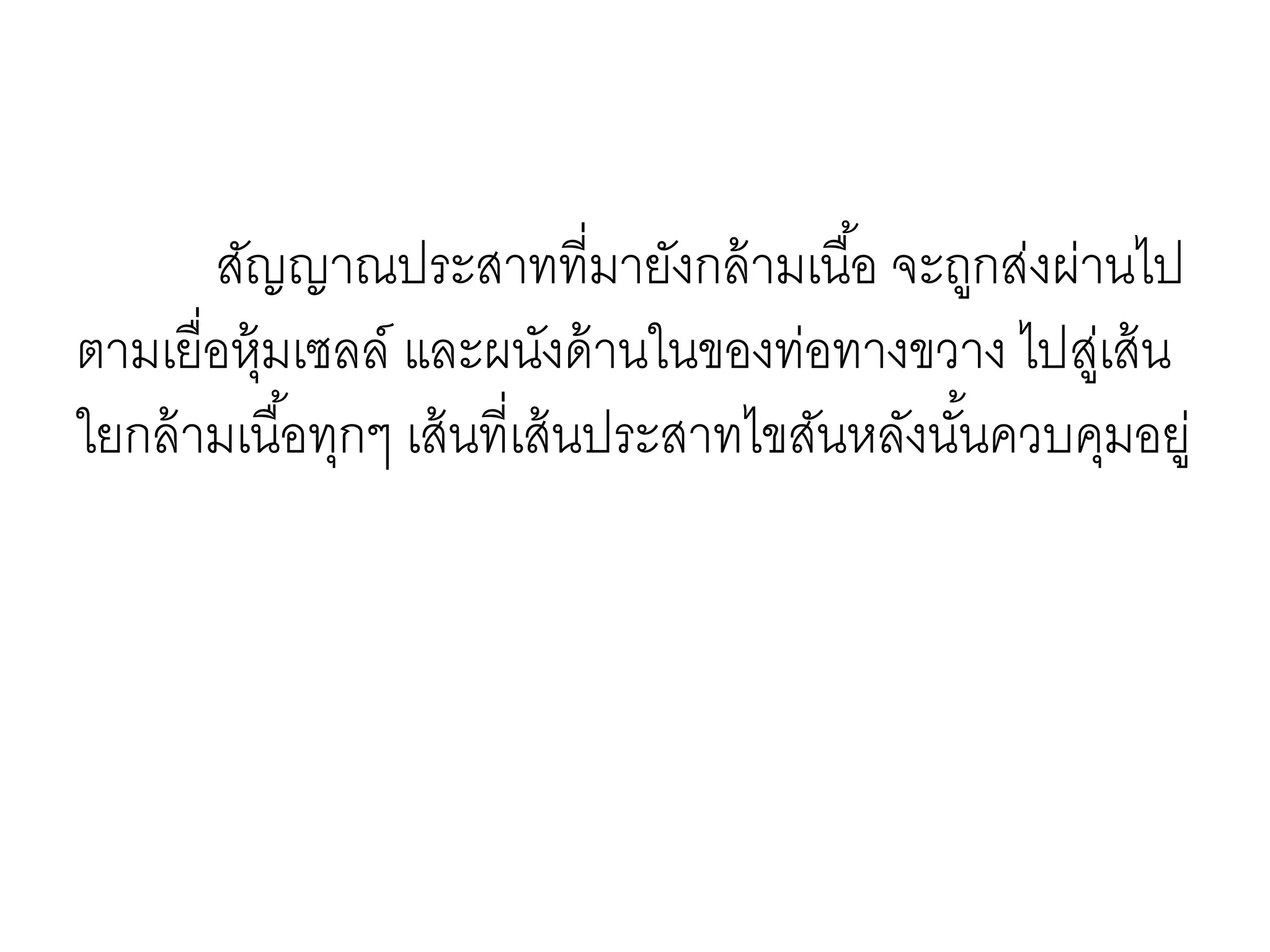 สัญญาณประสาทที่มายังกล้ามเนื้อ จะถูกส่งผ่านไป
ตามเยื่อหุ้มเซลล์ และผนังด้านในของท่อทางขวาง ไปสู่เส้น
ใยกล้ามเนื้อทุกๆ เส้นที่เส้นประสาทไขสันหลังนั้นควบคุมอยู่
 