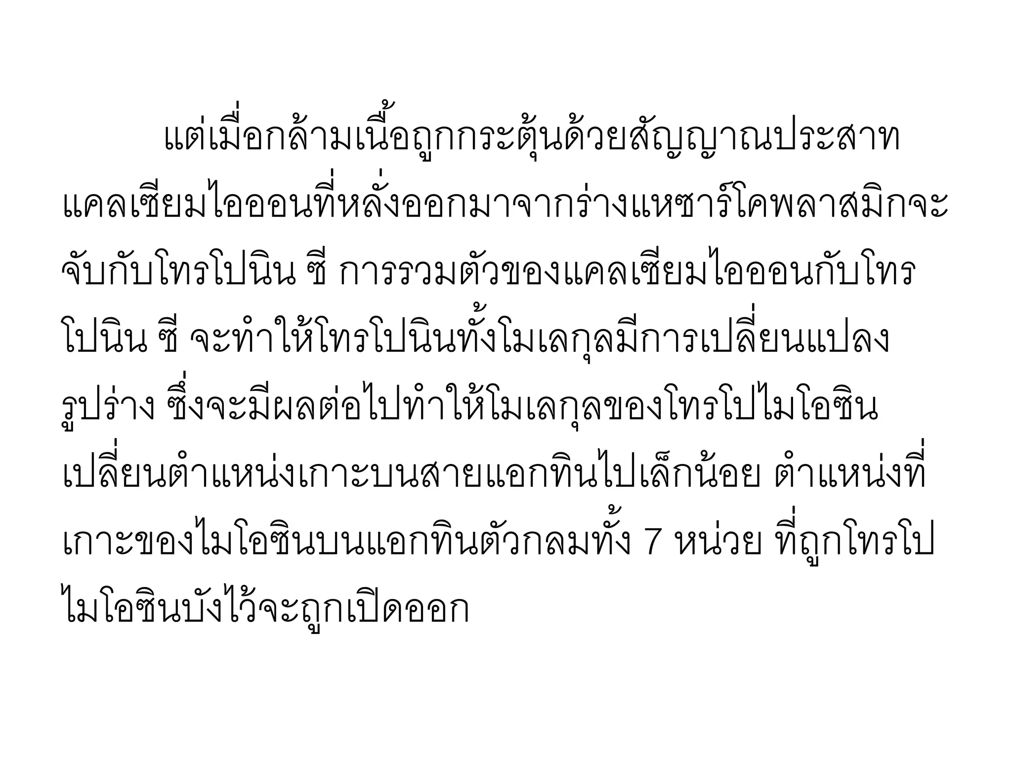 แต่เมื่อกล้ามเนื้อถูกกระตุ้นด้วยสัญญาณประสาท
แคลเซียมไอออนที่หลั่งออกมาจากร่างแหซาร์โคพลาสมิกจะ
จับกับโทรโปนิน ซี การรวมตัวของแคลเซียมไอออนกับโทร
โปนิน ซี จะทาให้โทรโปนินทั้งโมเลกุลมีการเปลี่ยนแปลง
รูปร่าง ซึ่งจะมีผลต่อไปทาให้โมเลกุลของโทรโปไมโอซิน
เปลี่ยนตาแหน่งเกาะบนสายแอกทินไปเล็กน้อย ตาแหน่งที่
เกาะของไมโอซินบนแอกทินตัวกลมทั้ง 7 หน่วย ที่ถูกโทรโป
ไมโอซินบังไว้จะถูกเปิดออก
 