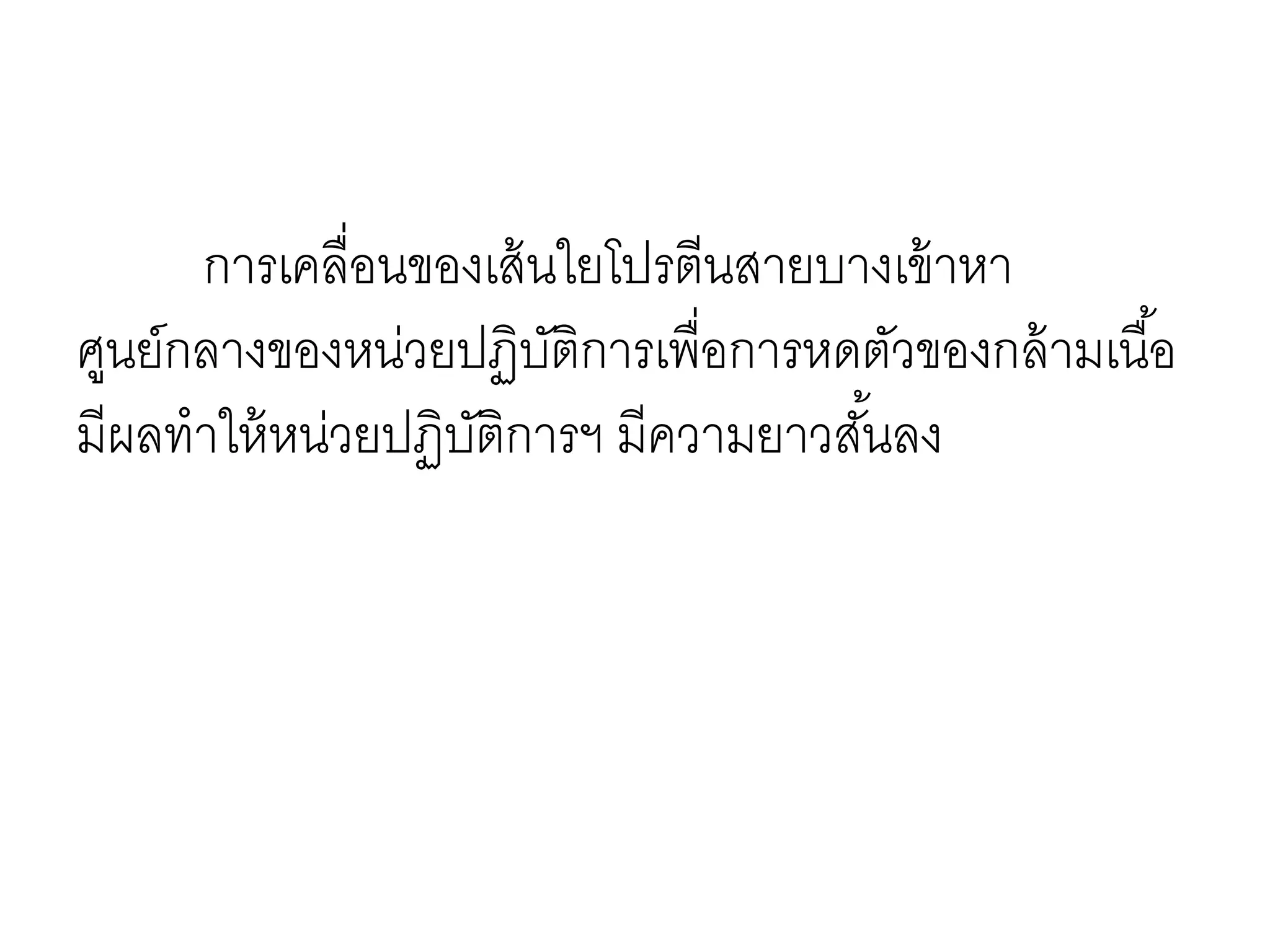 การเคลื่อนของเส้นใยโปรตีนสายบางเข้าหา
ศูนย์กลางของหน่วยปฏิบัติการเพื่อการหดตัวของกล้ามเนื้อ
มีผลทาให้หน่วยปฏิบัติการฯ มีความยาวสั้นลง
 